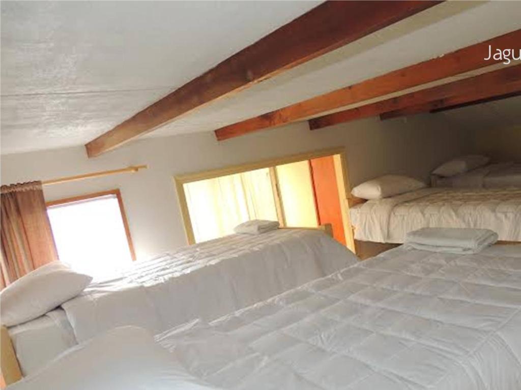 Hostel Jaguar Vina del Mar Zimmer foto